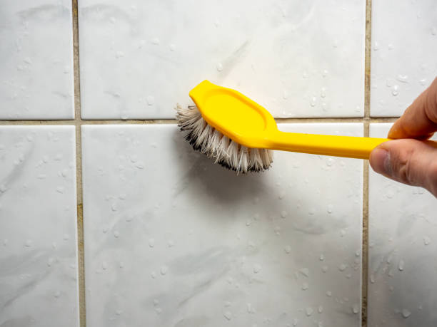Best Professional Mold Removal  in Catawissa, PA